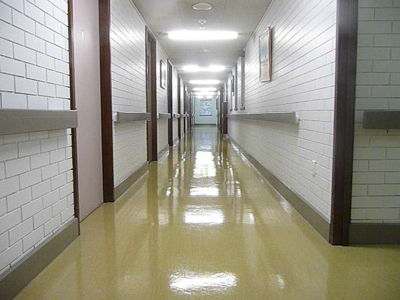 Commercial Cleaning Scarborough, Office Cleaning Margate, Vinyl Floor Sealing Woody Point, Stripping & Sealing Clontarf, Medical Centre Cleaning Kippa-Ring, Cleaning Services Redcliffe